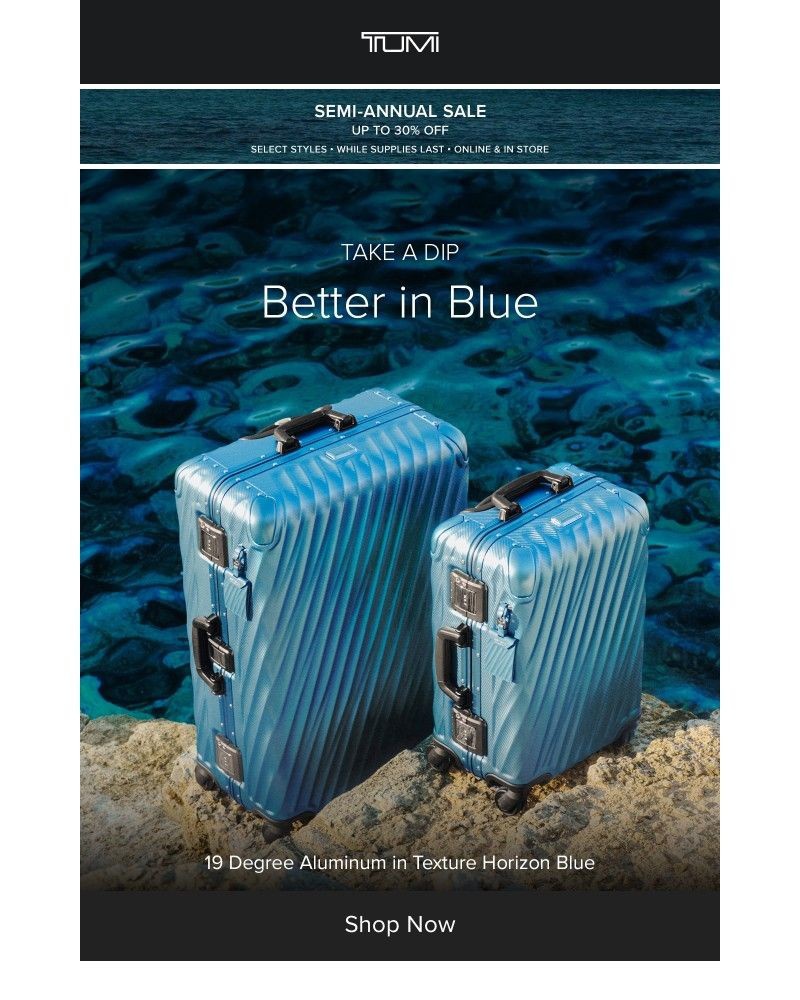 Screenshot of email with subject /media/emails/new-in-blue-d79302-cropped-91da56a7.jpg