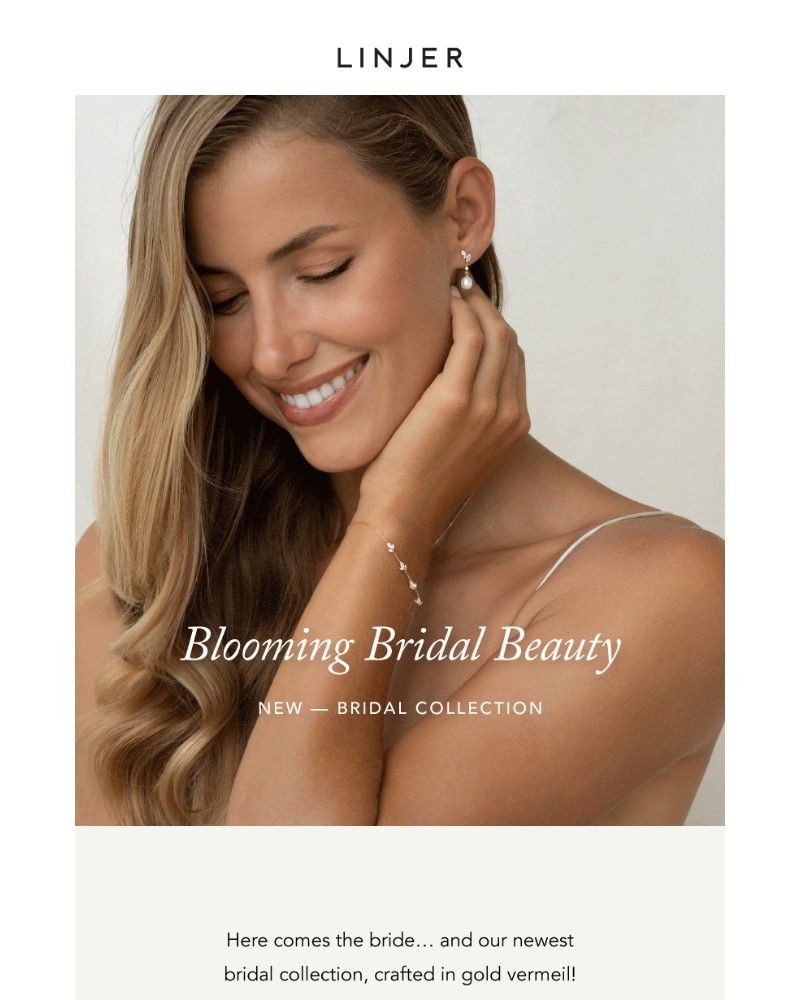 Screenshot of email sent to a Linjer Newsletter subscriber