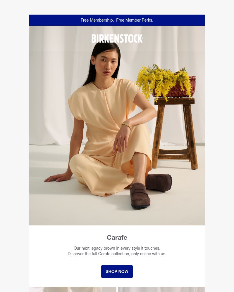 Screenshot of email with subject /media/emails/new-in-carafe-every-style-only-with-us-9f3c16-cropped-e10dcc2f.jpg