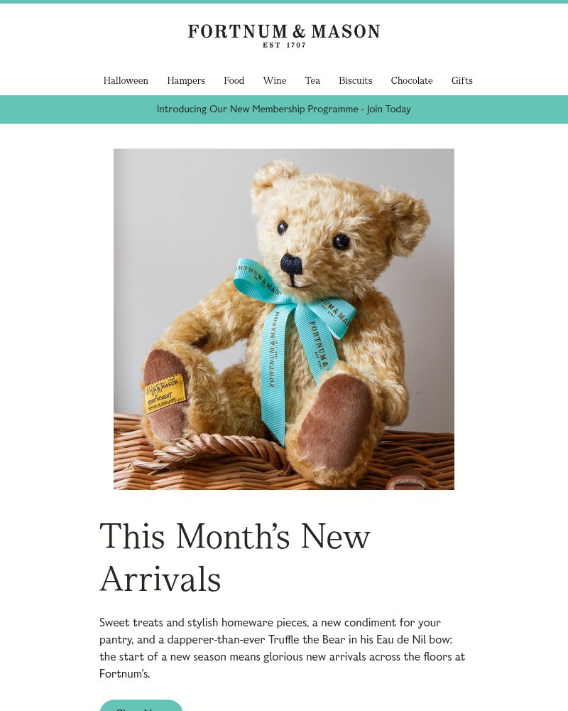 Screenshot of email with subject /media/emails/new-in-for-autumn-5326eb-cropped-b02c1672.jpg