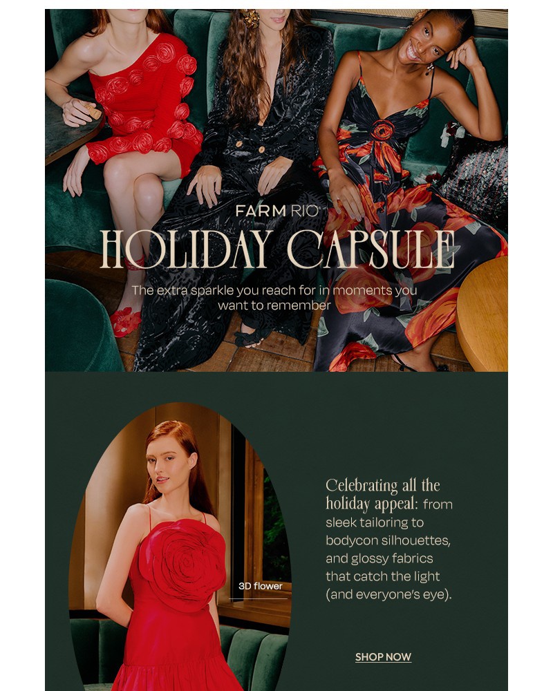 Screenshot of email with subject /media/emails/new-in-holiday-capsule-7c53cd-cropped-3c85216a.jpg