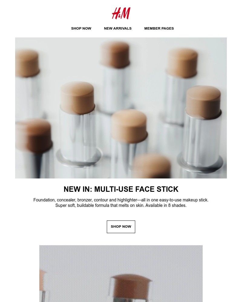 Screenshot of email with subject /media/emails/new-in-multi-use-face-stick-7a1367-cropped-f7533515.jpg