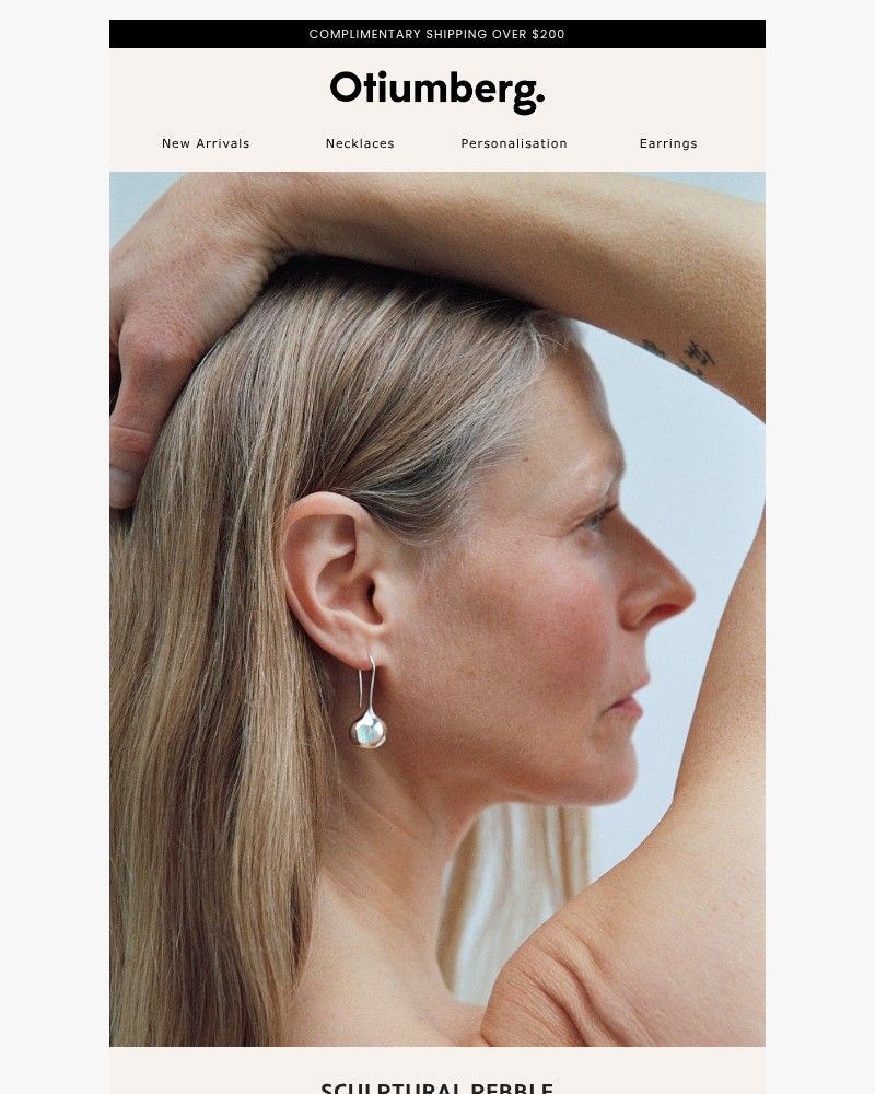 Screenshot of email with subject /media/emails/new-in-sculptural-drop-earrings-bd313e-cropped-5c6f4bea.jpg