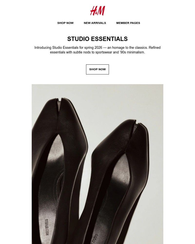 Screenshot of email with subject /media/emails/new-in-studio-essentials-625d93-cropped-10eef4b7.jpg