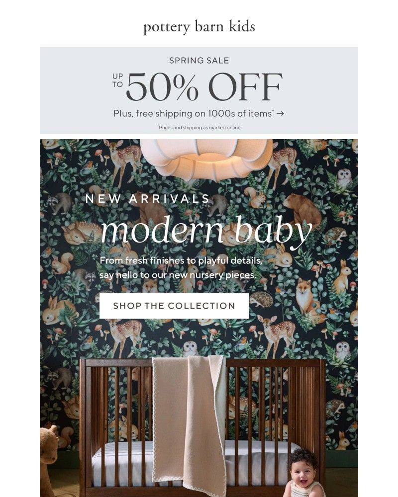 Screenshot of email sent to a Pottery Barn Newsletter subscriber
