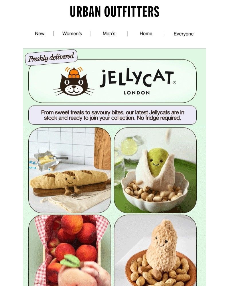 Screenshot of email with subject /media/emails/new-jellycats-in-stock-and-ready-to-join-your-collection-8a8212-cropped-4f8bca5e.jpg