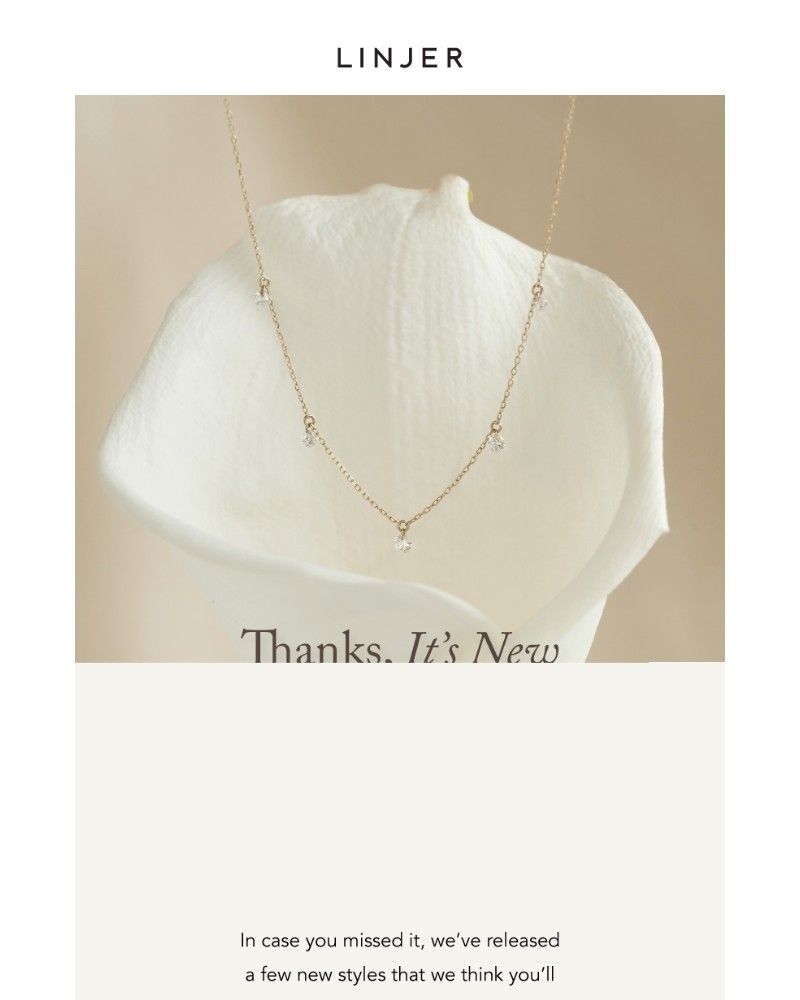 Screenshot of email sent to a Linjer Newsletter subscriber