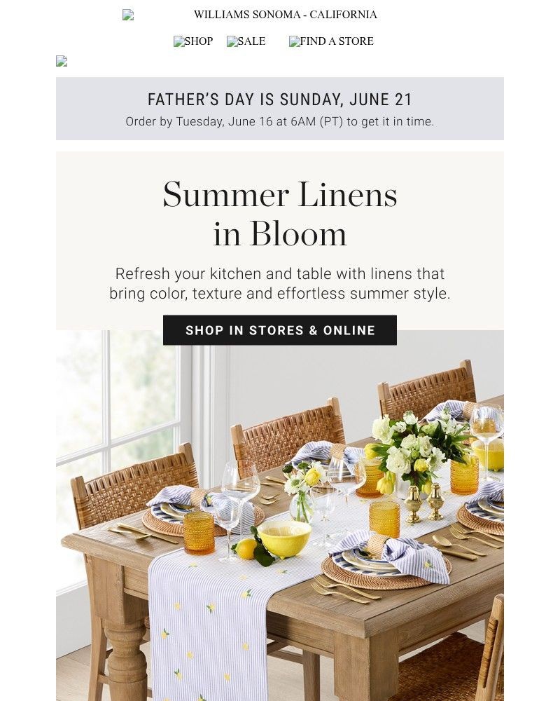 Screenshot of email with subject /media/emails/new-linens-to-brighten-every-gathering-55a28e-cropped-204eae31.jpg