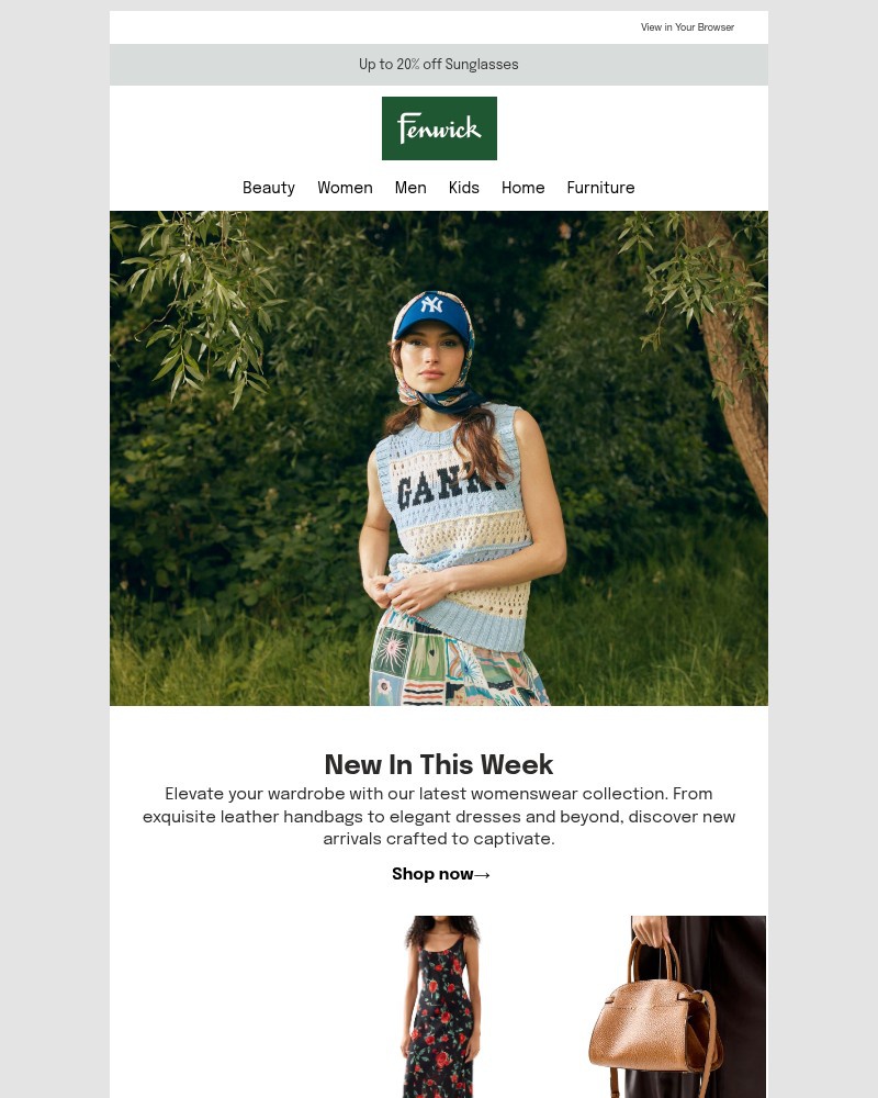 Screenshot of email with subject /media/emails/new-lines-added-361f71-cropped-778cba82.jpg