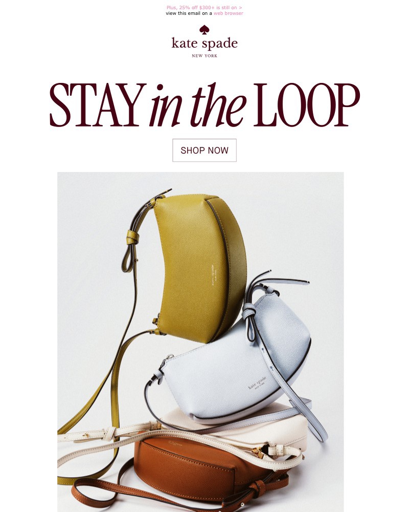 Screenshot of email with subject /media/emails/new-loop-bag-hues-yes-please-821274-cropped-1691ad32.jpg