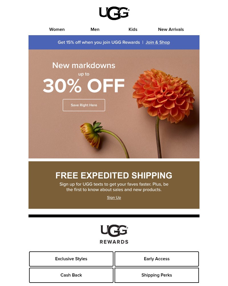 Screenshot of email with subject /media/emails/new-markdowns-7c04a3-cropped-134a2264.jpg