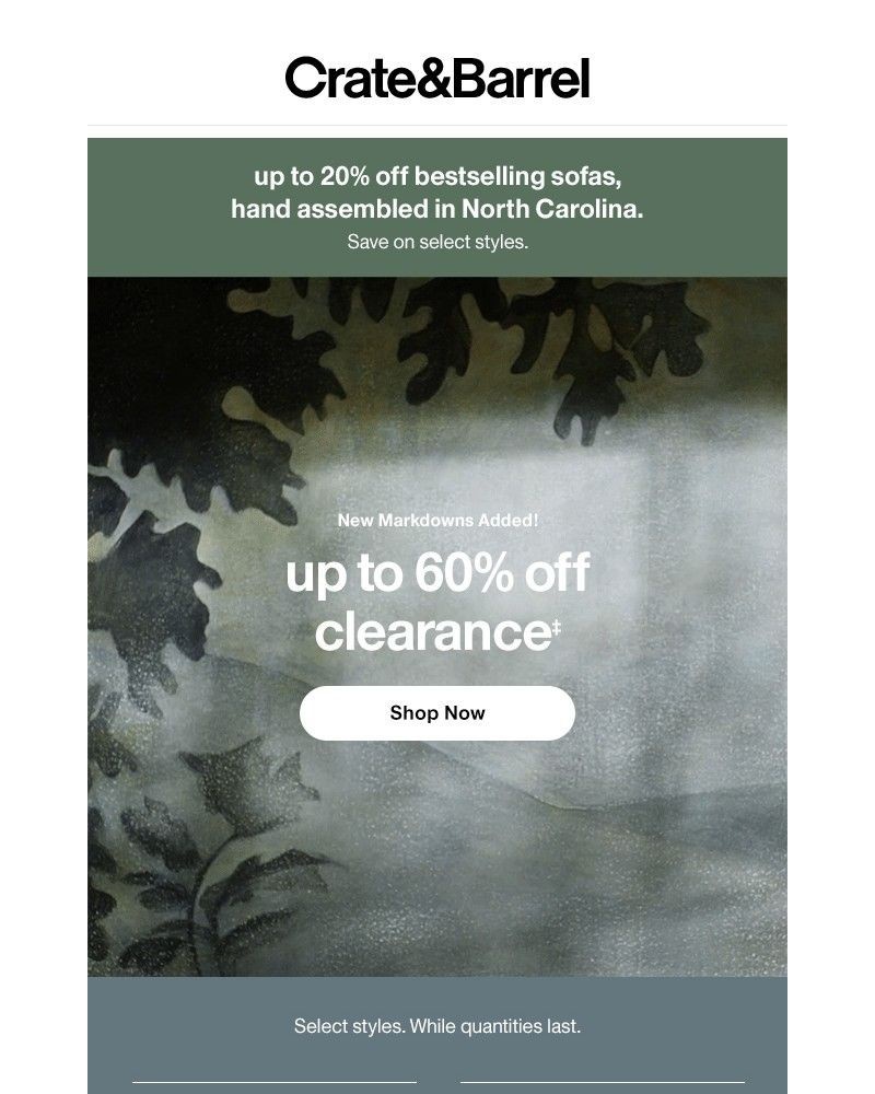 Screenshot of email with subject /media/emails/new-markdowns-added-up-to-60-off-1cf0a7-cropped-9862db23.jpg
