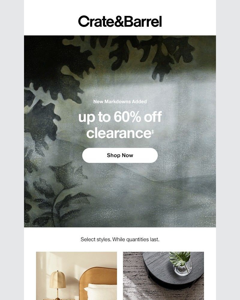 Screenshot of email sent to a Crate & Barrel Newsletter subscriber