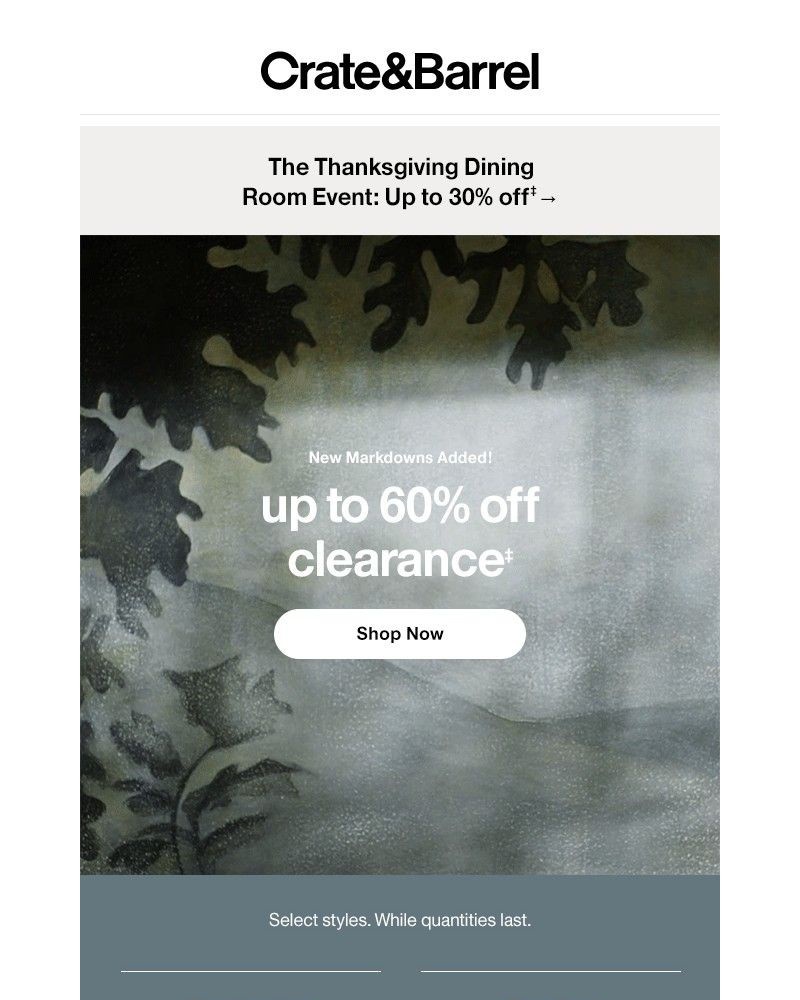 Screenshot of email with subject /media/emails/new-markdowns-on-furniture-decor-more-just-landed-6df212-cropped-41d508bb.jpg
