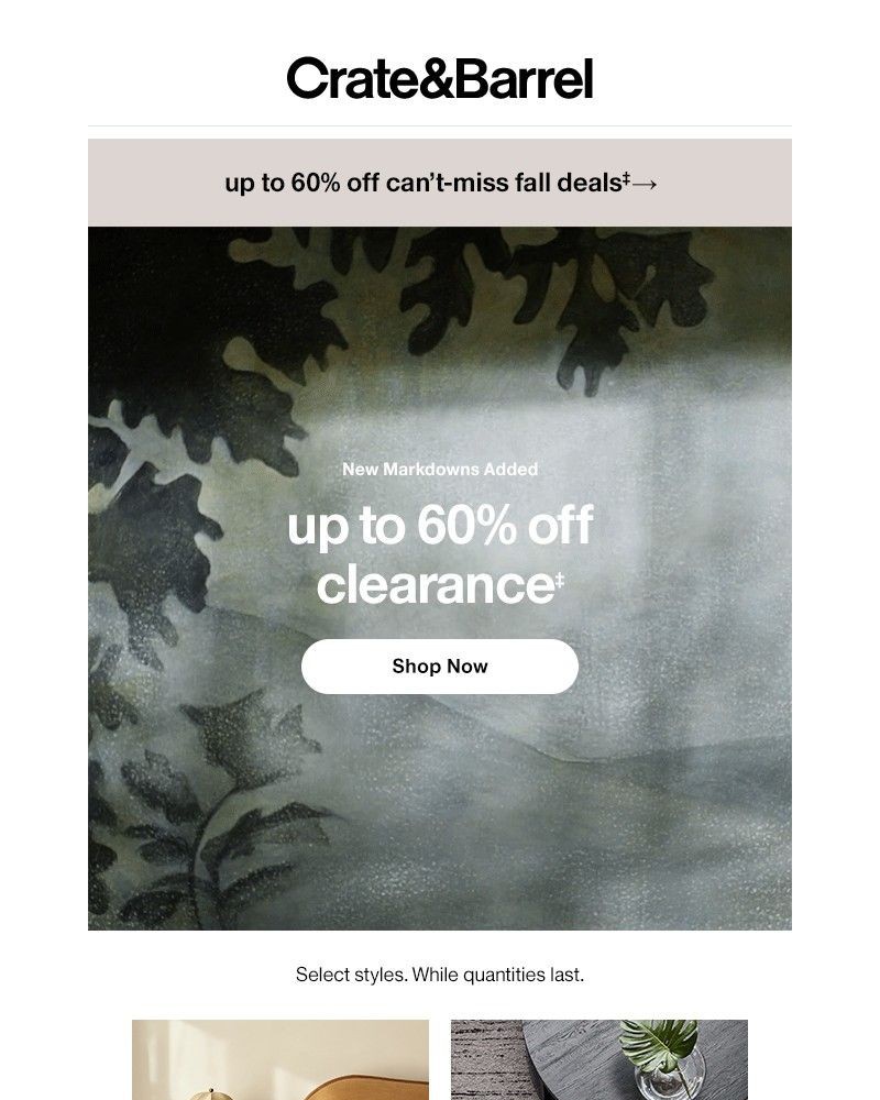 Screenshot of email with subject /media/emails/new-markdowns-up-to-60-off-5bf549-cropped-ad363517.jpg