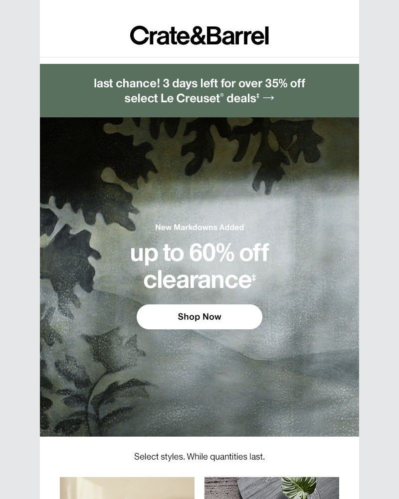 Screenshot of email with subject /media/emails/new-markdowns-up-to-60-off-6c11da-cropped-ef221422.jpg