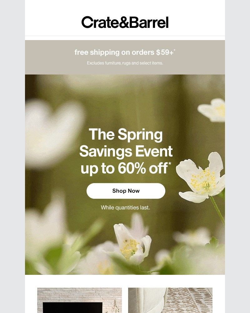 Screenshot of email with subject /media/emails/new-markdowns-up-to-60-off-d7d020-cropped-6bec545c.jpg