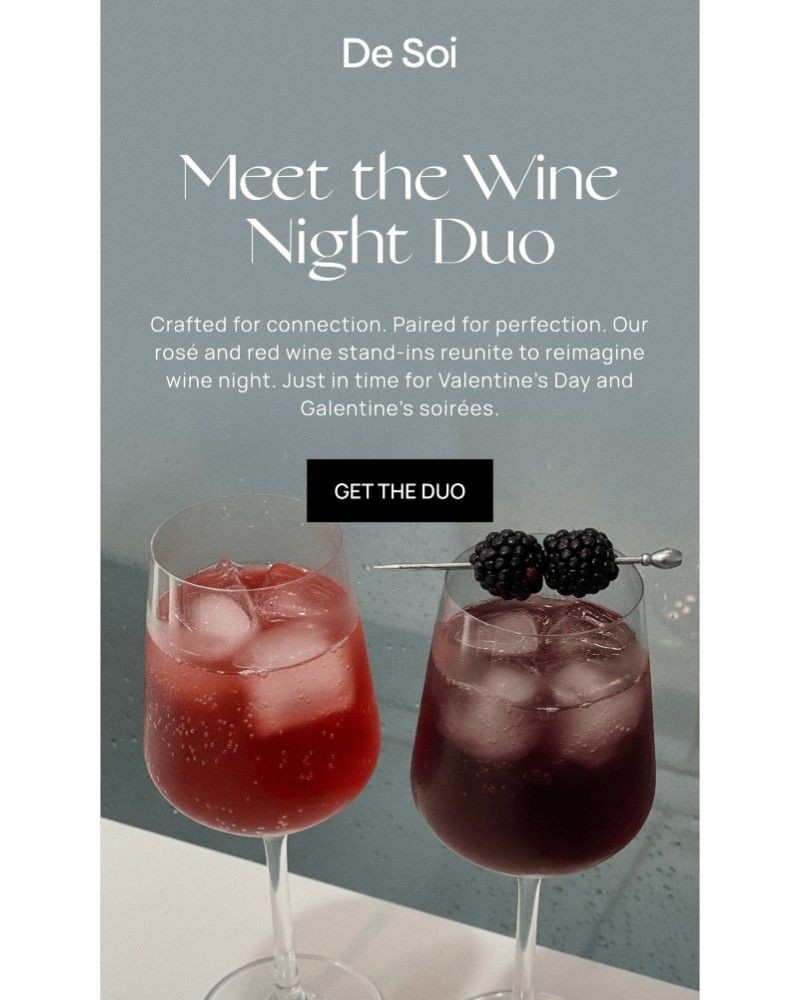 Screenshot of email sent to a De Soi Newsletter subscriber