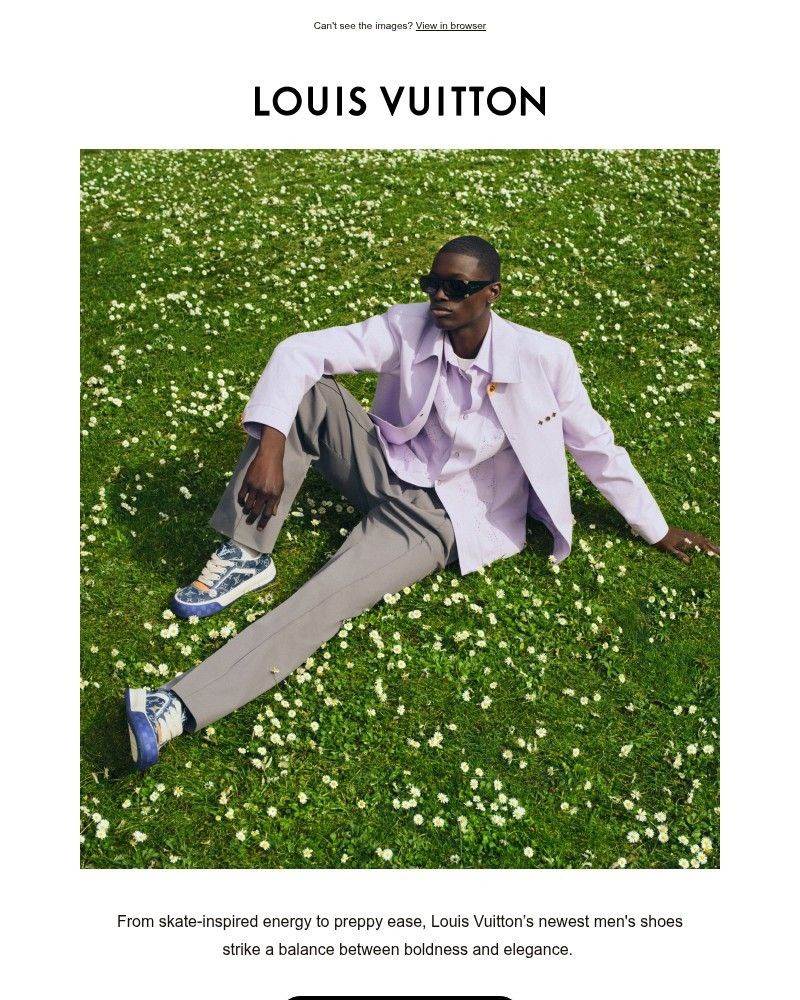 Screenshot of email sent to a Louis Vuitton Newsletter subscriber