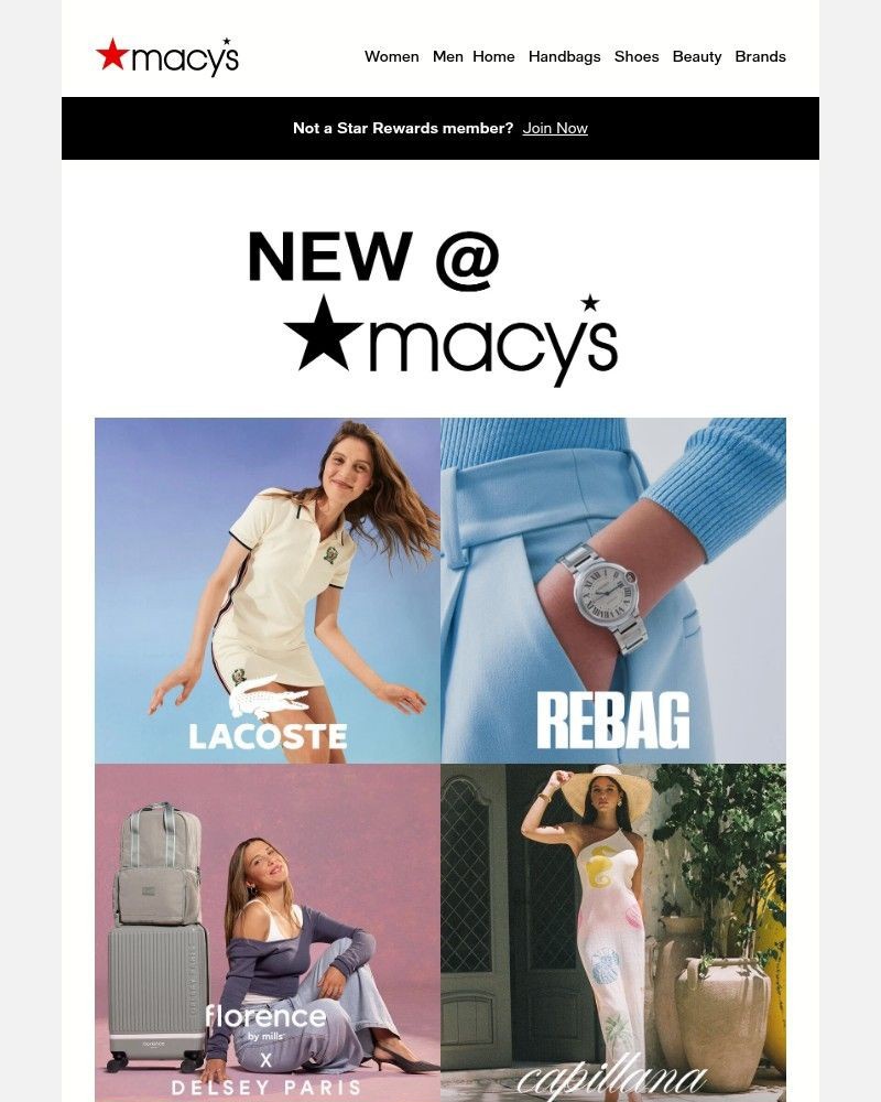 Screenshot of email with subject /media/emails/new-month-new-brand-alert-d84638-cropped-39d9a26e.jpg