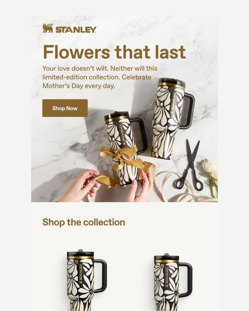 Screenshot of email with subject /media/emails/new-mothers-day-collection-ec9a3f-cropped-1704a3bd.jpg