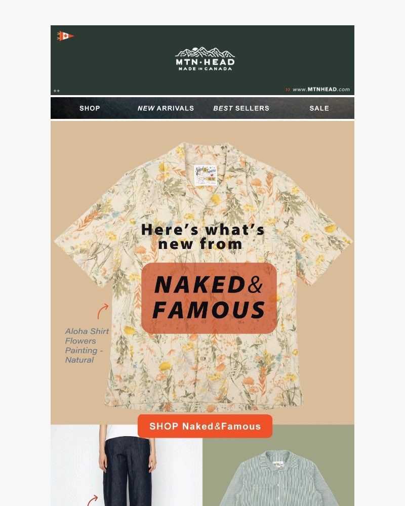 Screenshot of email with subject /media/emails/new-nakedfamous-tallow-mtn-soap-a2ab3f-cropped-fcacebc6.jpg