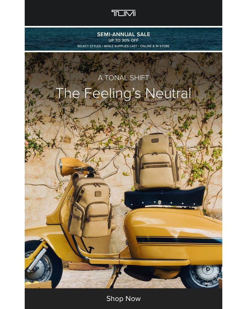 Screenshot of email with subject /media/emails/new-neutrals-for-now-e5c47f-cropped-4abf42fb.jpg