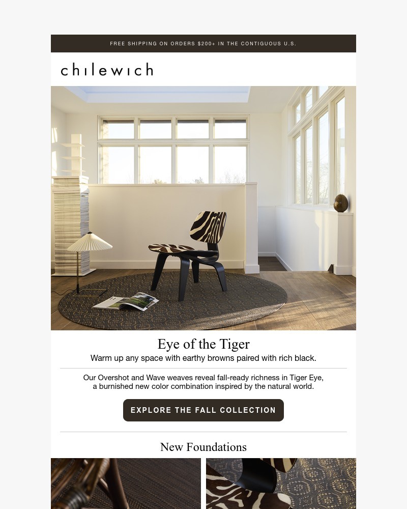 Screenshot of email with subject /media/emails/new-neutrals-tiger-eye-21ba6d-cropped-3f397d2e.jpg