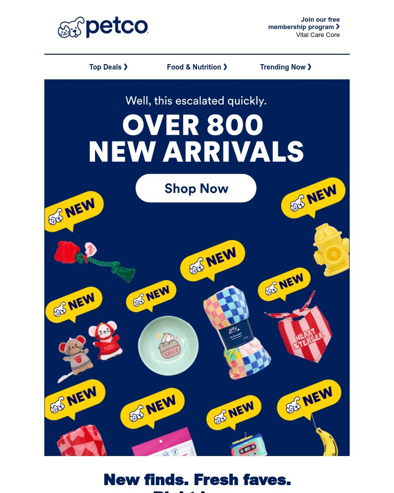 Screenshot of email with subject /media/emails/new-new-new-1c40df-cropped-23e34101.jpg