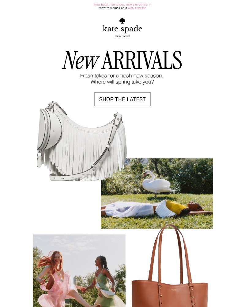 Screenshot of email with subject /media/emails/new-new-new-arrivals-c51afc-cropped-1a0f435f.jpg