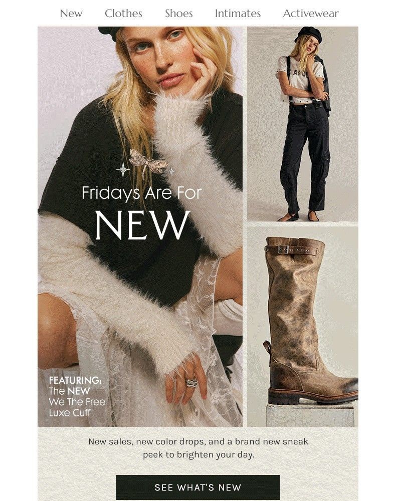 Screenshot of email with subject /media/emails/new-new-new-d567d0-cropped-4e6ab540.jpg