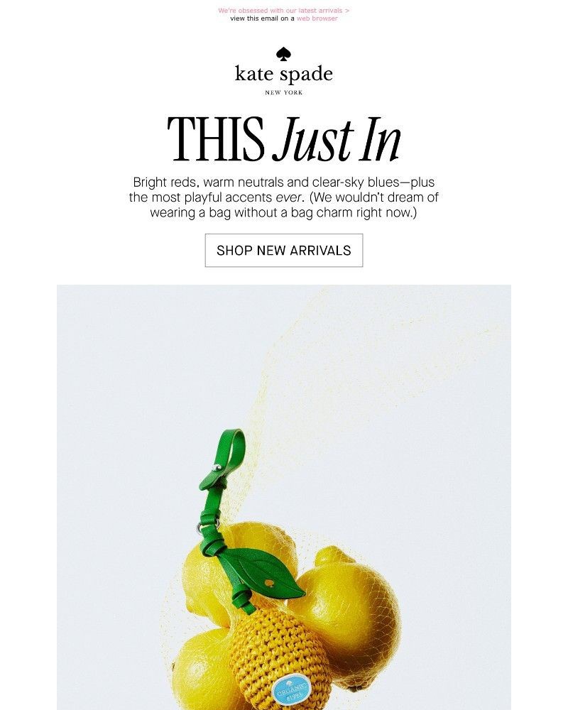 Screenshot of email sent to a Kate Spade Newsletter subscriber