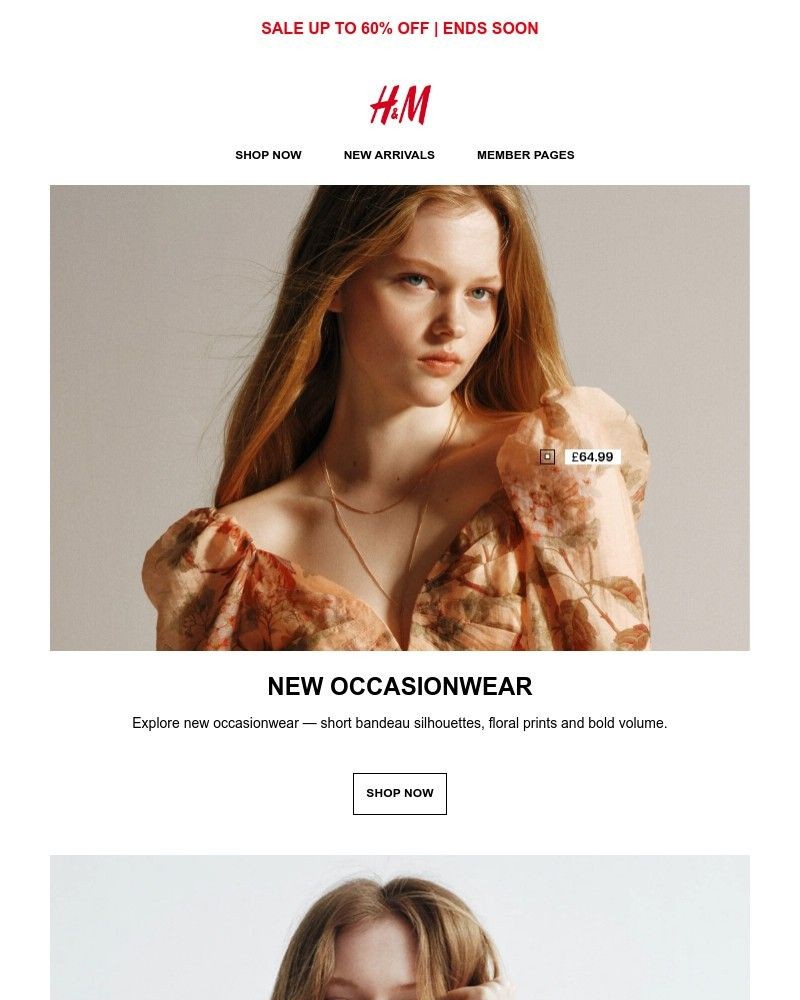 Screenshot of email with subject /media/emails/new-occasionwear-ca13a1-cropped-94529b74.jpg