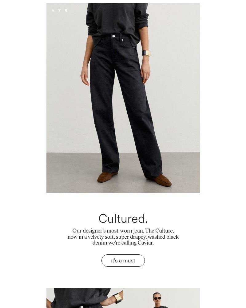 Screenshot of email sent to a AYR Newsletter subscriber