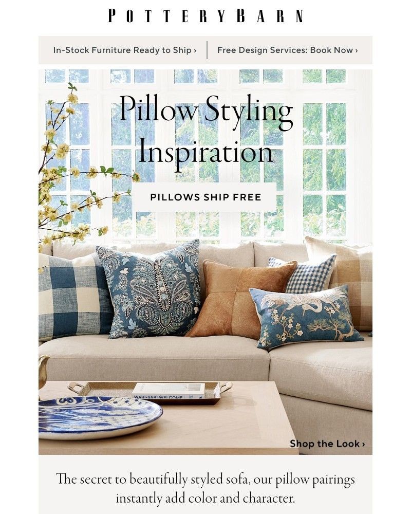 Screenshot of email with subject /media/emails/new-pillow-pairings-a6d8be-cropped-fa4fcead.jpg