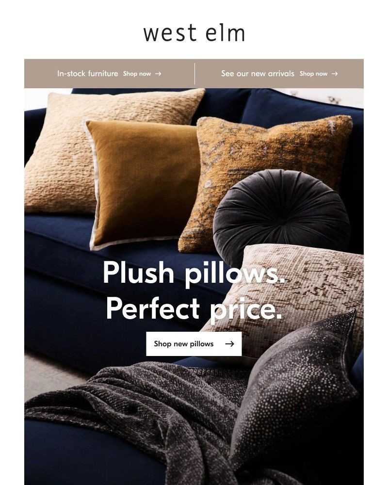 Screenshot of email with subject /media/emails/new-pillows-for-a-quick-refresh-acf354-cropped-8517c3db.jpg