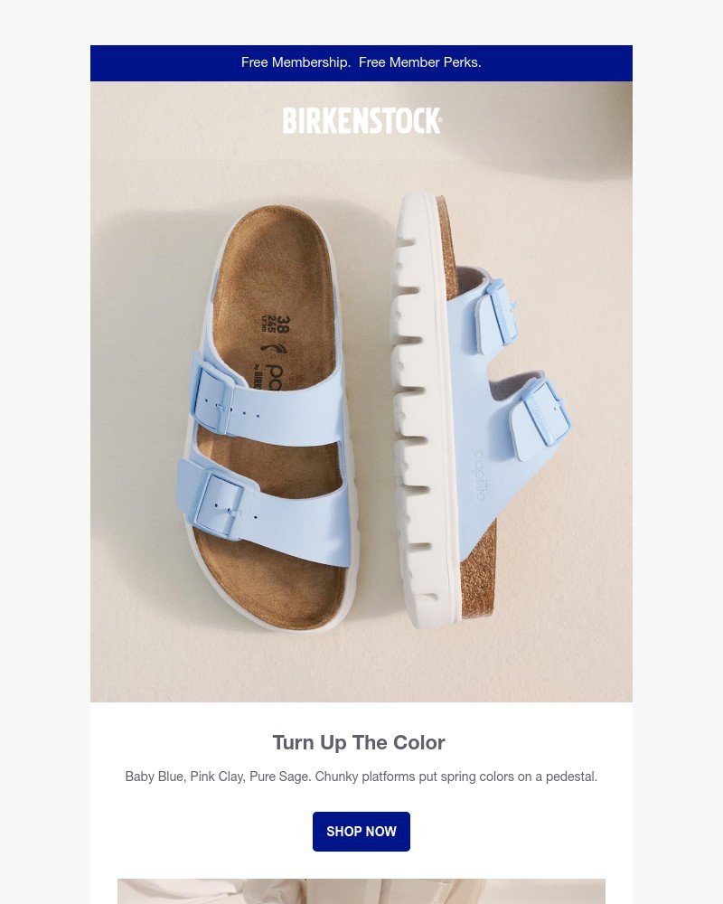 Screenshot of email with subject /media/emails/new-platform-colors-the-boost-you-needed-bd9ae9-cropped-4445aacb.jpg