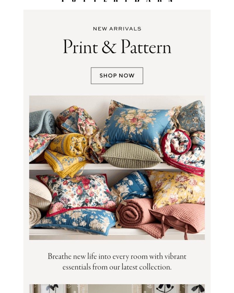 Screenshot of email with subject /media/emails/new-prints-patterns-4d26f2-cropped-28a0e1ac.jpg