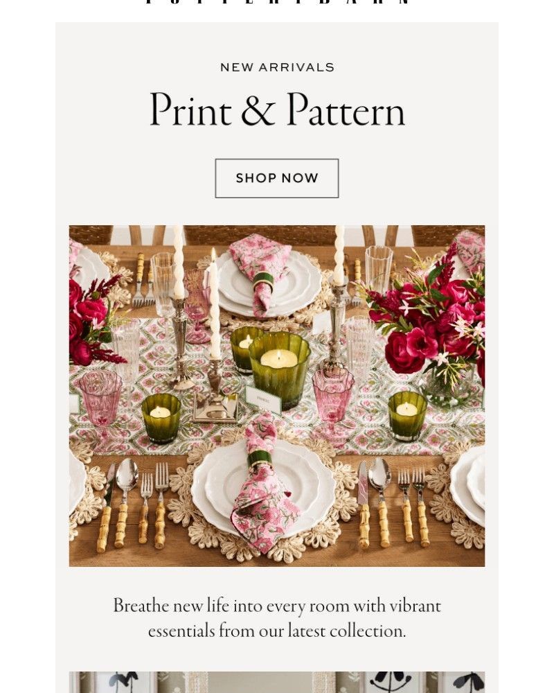 Screenshot of email with subject /media/emails/new-prints-patterns-e2c70d-cropped-90cfc5d4.jpg