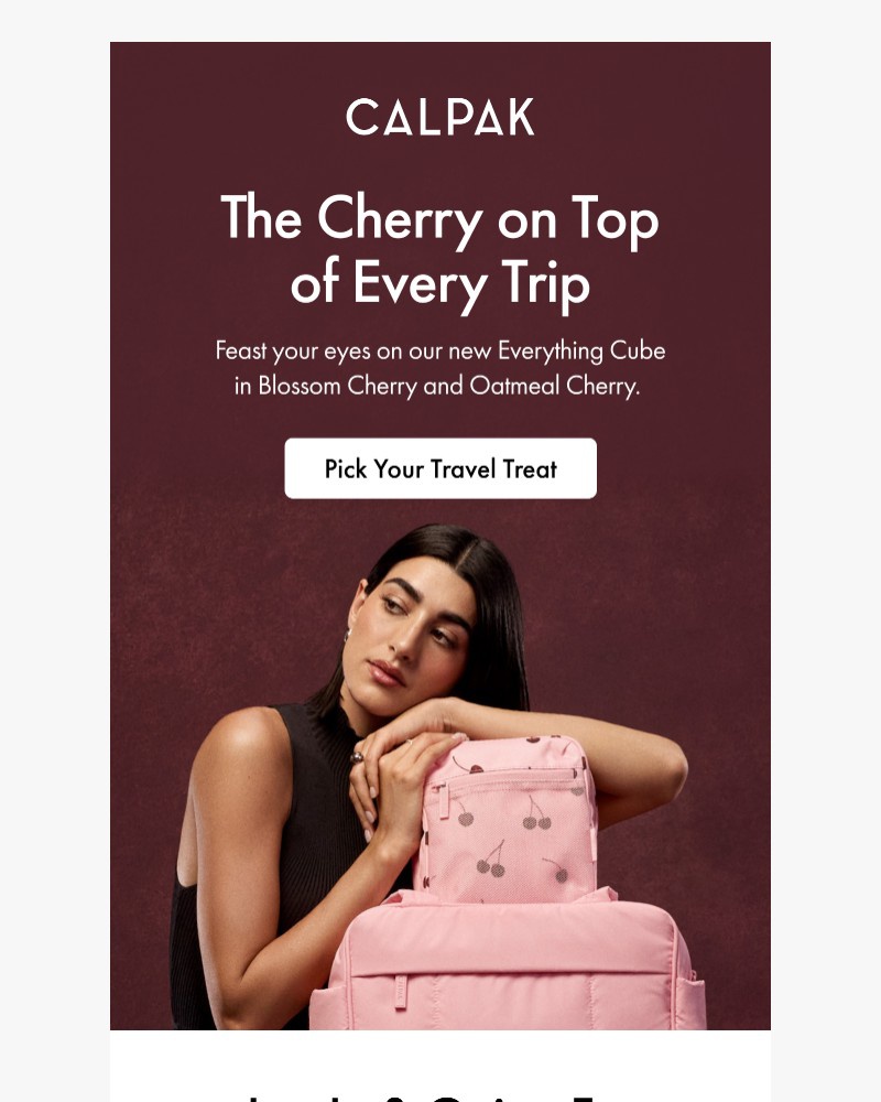 Screenshot of email with subject /media/emails/new-prints-your-favorite-organizers-79f5e0-cropped-bfbacba2.jpg