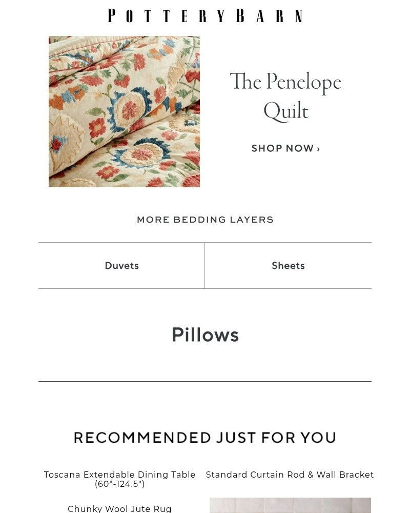 Screenshot of email with subject /media/emails/new-quilts-for-a-beautiful-bedroom-af3055-cropped-b8d3ae32.jpg
