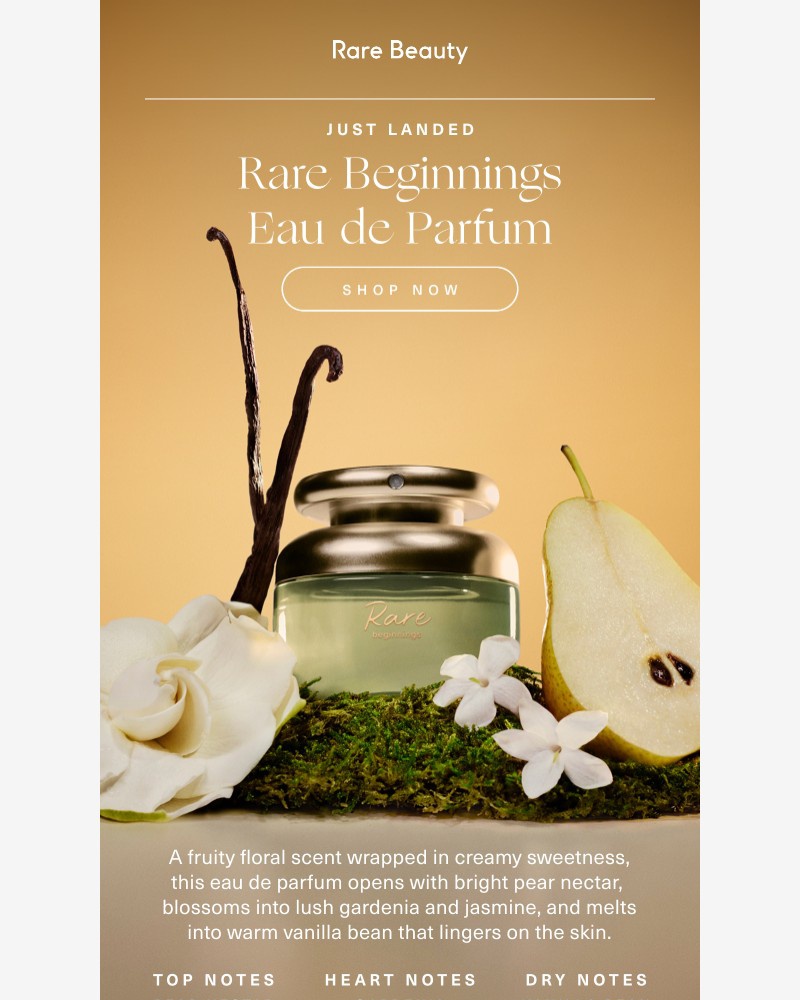 Screenshot of email sent to a Rare Beauty Newsletter subscriber