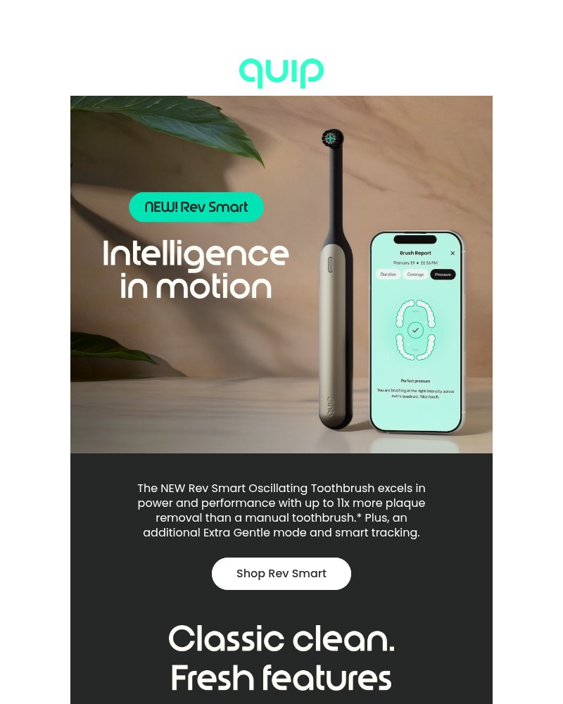 Screenshot of email sent to a Quip Newsletter subscriber