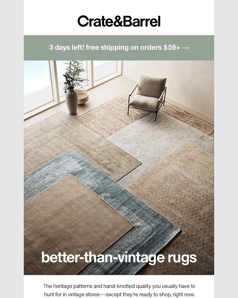 Screenshot of email with subject /media/emails/new-rugs-heritage-style-patterns-colors-youll-love-a2e045-cropped-5075ed0d.jpg