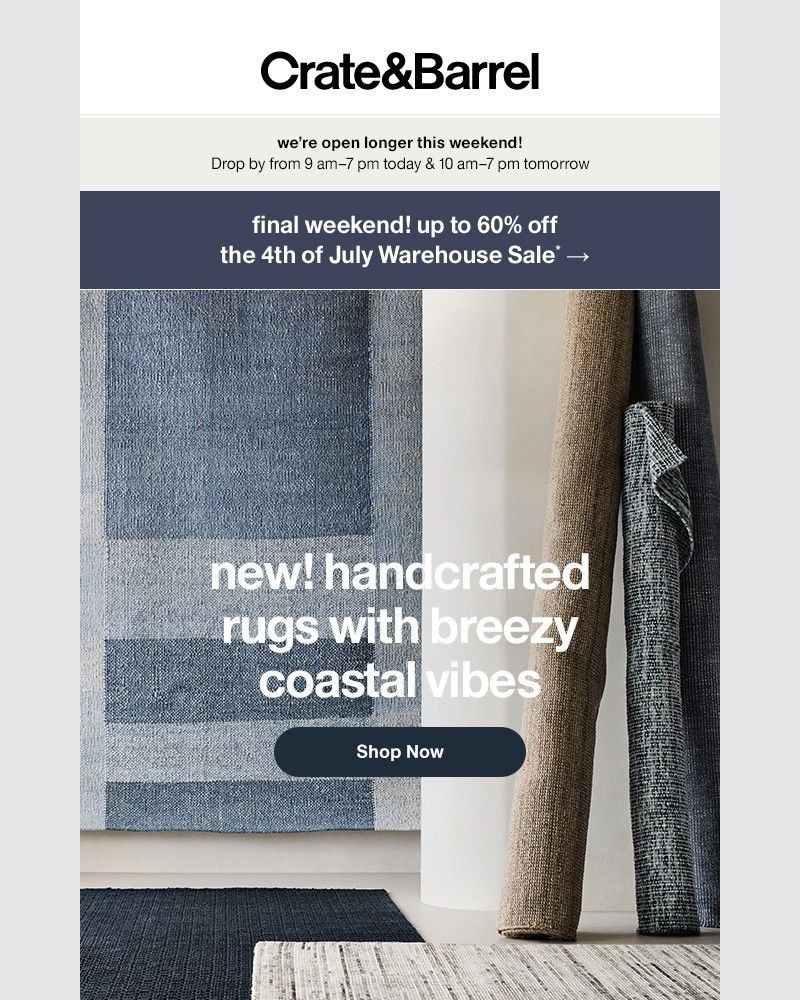Screenshot of email with subject /media/emails/new-rugs-in-breezy-blues-greens-right-this-way-1505b9-cropped-e209ab9c.jpg