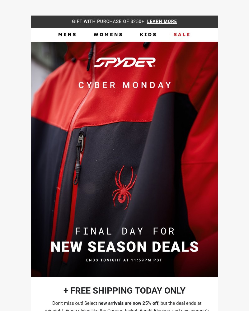 Screenshot of email with subject /media/emails/new-sale-items-expire-at-midnight-bac32a-cropped-f60ec934.jpg