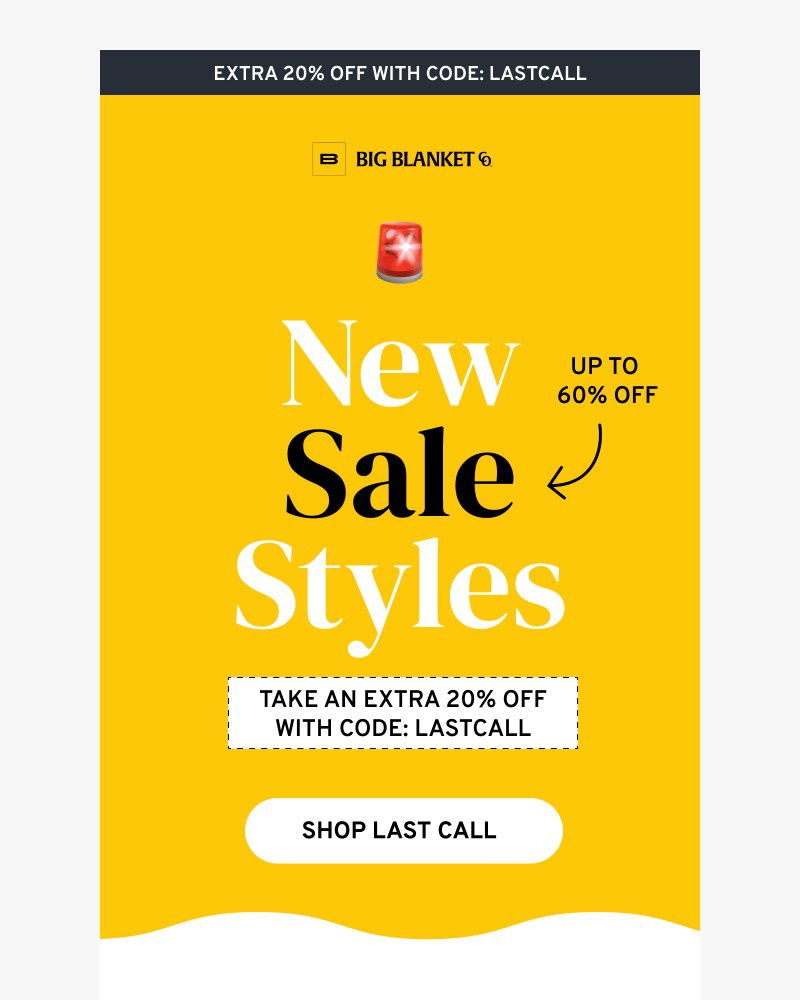 Screenshot of email with subject /media/emails/new-sale-styles-f0beb5-cropped-136c5562.jpg