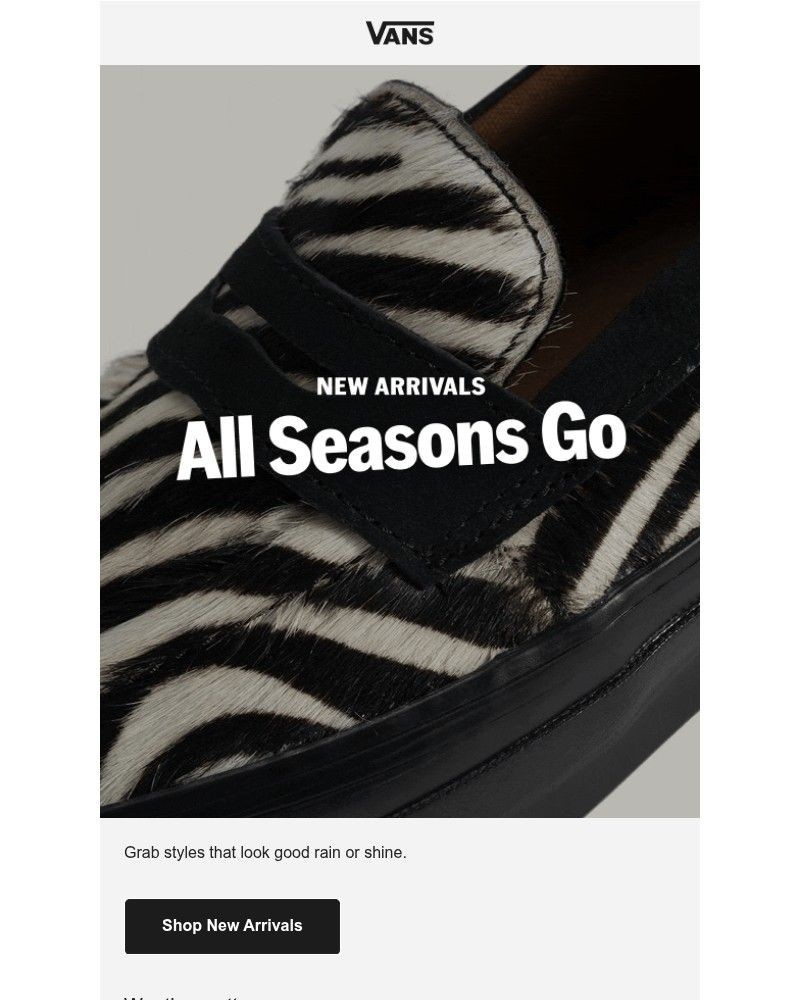 Screenshot of email sent to a Vans Registered user