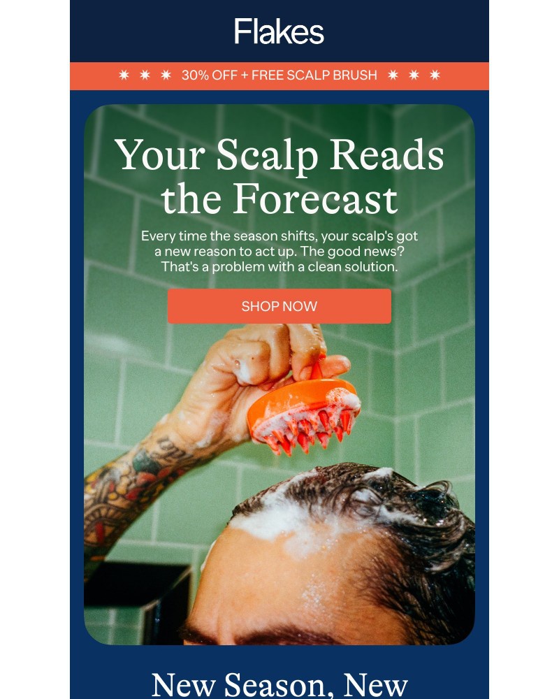 Screenshot of email sent to a Flakes Newsletter subscriber