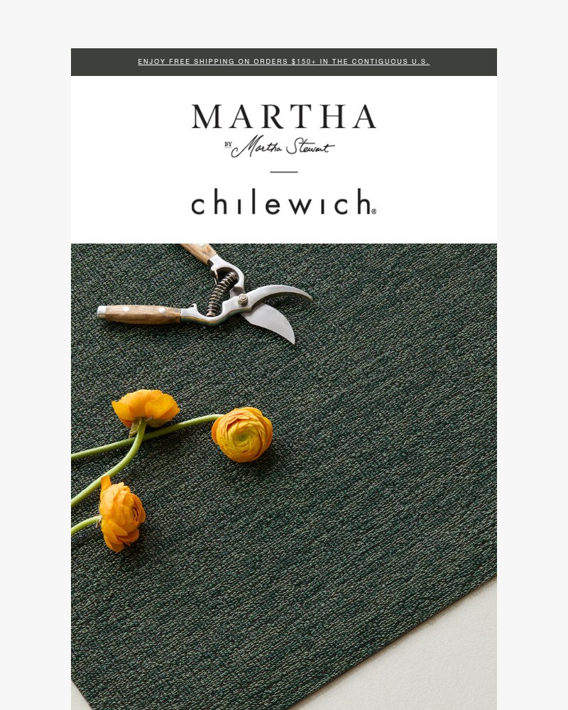 Screenshot of email with subject /media/emails/new-shag-mats-made-with-martha-stewart-caa01d-cropped-6c4c33cc.jpg